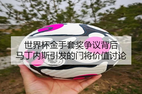 shi-jie-bei-jin-shou-tao-jiang-zheng-yi-bei-hou-ma-ding-nei-si-yin-fa-de-men-jiang-jia-zhi-tao-lun-2-217.jpg